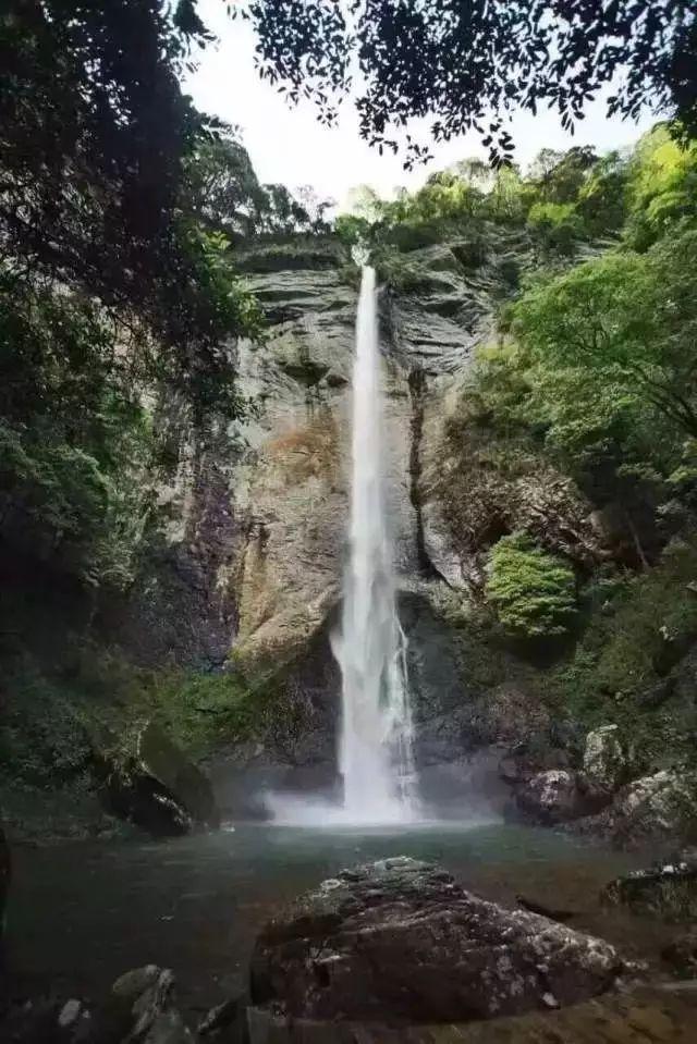 南美大豆进入收获季 出口市场竞争火热